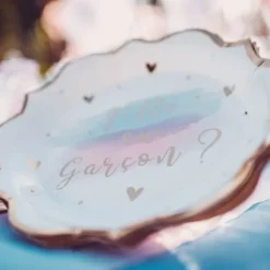 8 Assiettes En Carton Gender Reveal