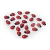 24 Coccinelles En Bois Adh Sives
