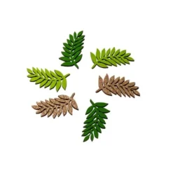 6 Feuilles De Laurier Bois Degrad