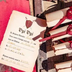 8 Invitations Theme Chevalier