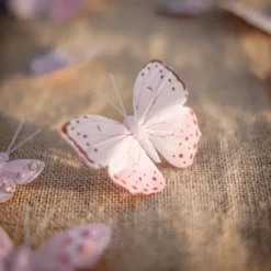 10 Papillons Mariage Degrad S Rose