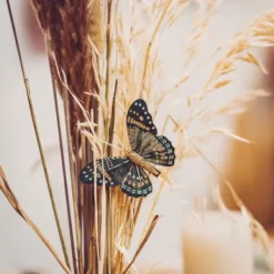 6 Pinces Papillons Vert Et Paillettes Or