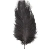 1 Plumes Autruche Noir 55-60 Cm