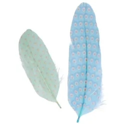 6 Plumes D Co My Lord