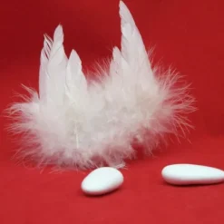Aile D'Ange Plume Blanc