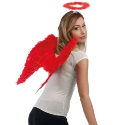 Ailes D'Anges En Plumes Rouge 50 X 50 Cm