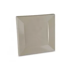 Assiette Carr E Plastique Rigide Taupe R Utilisable 18Cm X 12
