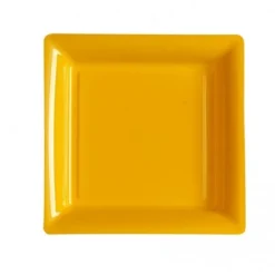 Assiette Carr E Plastique Orange Mandarine R Utilisable 18Cm X 12 Pi Ces