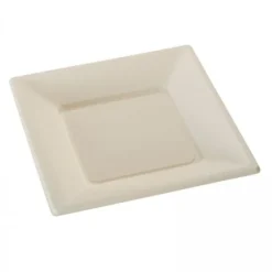 Assiette Carr E Plastique Ecru R Utilisable 23Cm X12