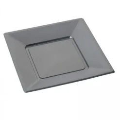 Assiette Carr E Plastique Grise R Utilisable 23Cm X12