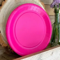 Assiette De Noel En Carton Couleur 23Cm Cm X 10 Pi Ces