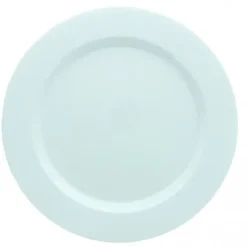 Assiette En Plastique Ronde R Utilisable Blanche X 6 Pi Ces