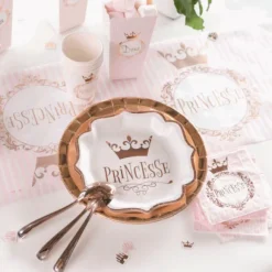 Assiettes En Carton Anniversaire Princesse 21Cm X10 Pi Ces