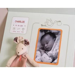Baby Memory Box