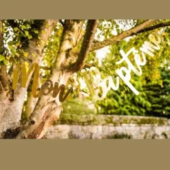 Banderole M Tallis Bapt Me Or