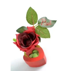 Boite Drag Es Coeur Blanc X4