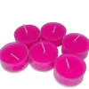 Bougie Chauffe Plat Fuchsia X 4 Pi Ces