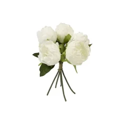 Bouquet De 5 Pivoines Blanche Avec Raphia