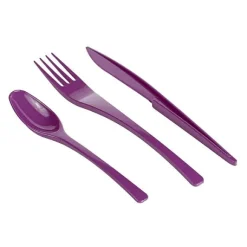 Couvert Jetable En Plastique Couleur X 30 Pi Ces