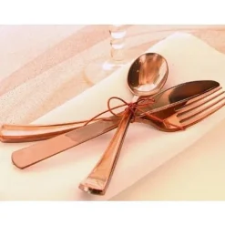 Couvert Jetable En Plastique Couleur X 30 Pi Ces