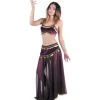 D Guisement Danseuse Orientale