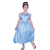 D Guisement Enfant Princesse Bleu 7/9 Ans