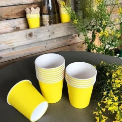 Gobelets Carton 25 Pi Ces Pas Cher X 10 Pi Ces