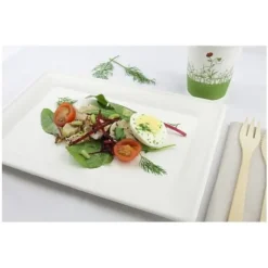 Grand Plateau Blanc En Fibre De Canne A Sucre X 10 Pi Ces