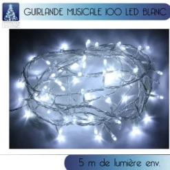 Guirlande Lumineuse Musicale 100 Led Blanc Froid