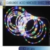 Guirlande Tube Lumineux 400 Nanoled Multicolore