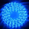 Guirlande Tube Lumineux Led 12 M Tres Bleu