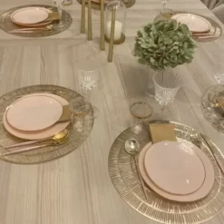 Lot De 16 Assiettes Plastique R Utilisables Gourmet Rose