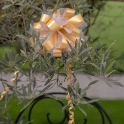 Lot De 5 Grands Noeuds En Tulle Or 50Mm