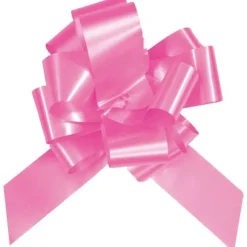 Noeud Automatique Fuchsia X10