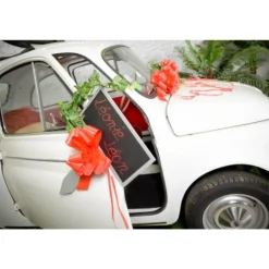 Noeud Automatique Mint X10