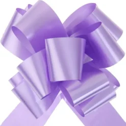 Noeud Automatique Parme X10