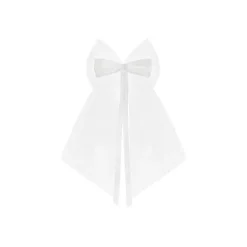 Noeud En Satin Et Tulle Blanc 18Cm X 2 Pi Ces