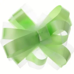 Noeud Mariage Automatique En Tulle Vert Anis X 5 Pi Ces