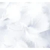 Plume De D Coration Blanc X 30 Pi Ces