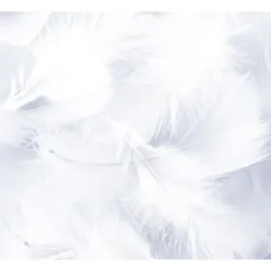 Plume De D Coration Blanc X 30 Pi Ces