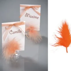 Plume De D Coration Orange 7Cm X 20 Pi Ces