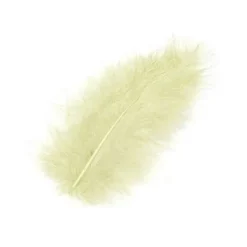 Plume De Décoration 7 Cm X 20 Pi Ces