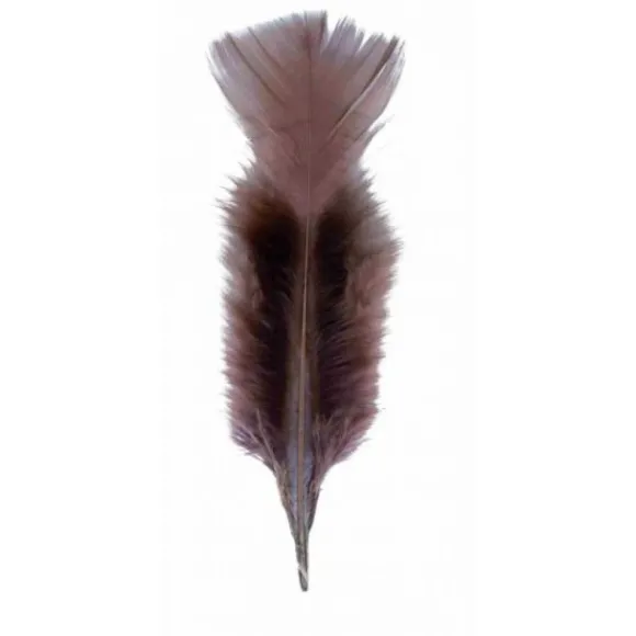 Plume De Décoration 7 Cm X 20 Pi Ces