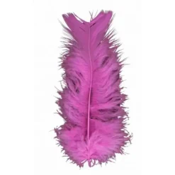 Plume De Décoration 7 Cm X 20 Pi Ces