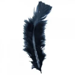 Plume De Décoration 7 Cm X 20 Pi Ces
