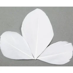 Plume Feuille Pas Cher X 96 Pi Ces