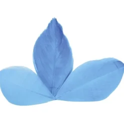 Plume Feuille Pas Cher X 96 Pi Ces