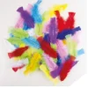Plumes Couleurs Al Atoires X50Pcs