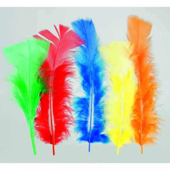 Plumes De Dinde Assorti X10Pcs