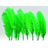Plumes De Dinde Vert X10Pcs